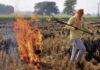 खेत में पराली जलाते किसान पर लगा जुर्माना, सेटेलाइट से हो रही निगरानी