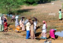 मनरेगा के विकास कार्यों में फर्जीवाड़ा, 50 ग्राम विकास अधिकारियों को नोटिस जारी