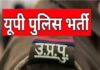 यूपी पुलिस में दारोगा के 4543 पदों पर भर्ती, 11 सितंबर तक करें आवेदन