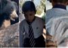 स्कूल में घुस बच्चे को झाड़ी में उठा ले गए भालू, बमुश्किल बची जान