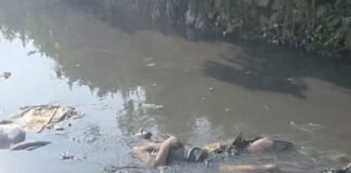 राजधानी में मिला अज्ञात व्यक्ति का शव, पुलिस जांच में जुटी