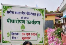विश्व पर्यावरण दिवस पर किया गया पौधारोपण, पर्यावरण संरक्षण का लिया संकल्प