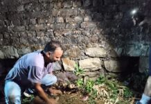 प्रकृति प्रेमियों ने लिया हर माह पौधारोपण का संकल्प, बंजर भूमि को बनाएंगे हराभरा