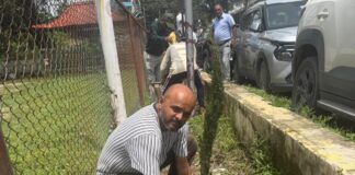 गुजराडा मानसिंह में वृक्षारोपण अभियान के तहत रोपे गए सैकड़ों पौधे