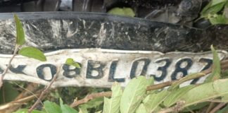 दर्दनाक हादसा: बोलेरो गहरी खाई में गिरी, तीन साल की मासूम समेत 6 लोगों की मौत