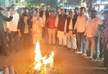 DAV छात्रसंघ चुनाव में NSUI प्रत्याशी सौरभ को हराने के लिए प्रशासन के दुरुपयोग का आरोप, पुतला फूंका